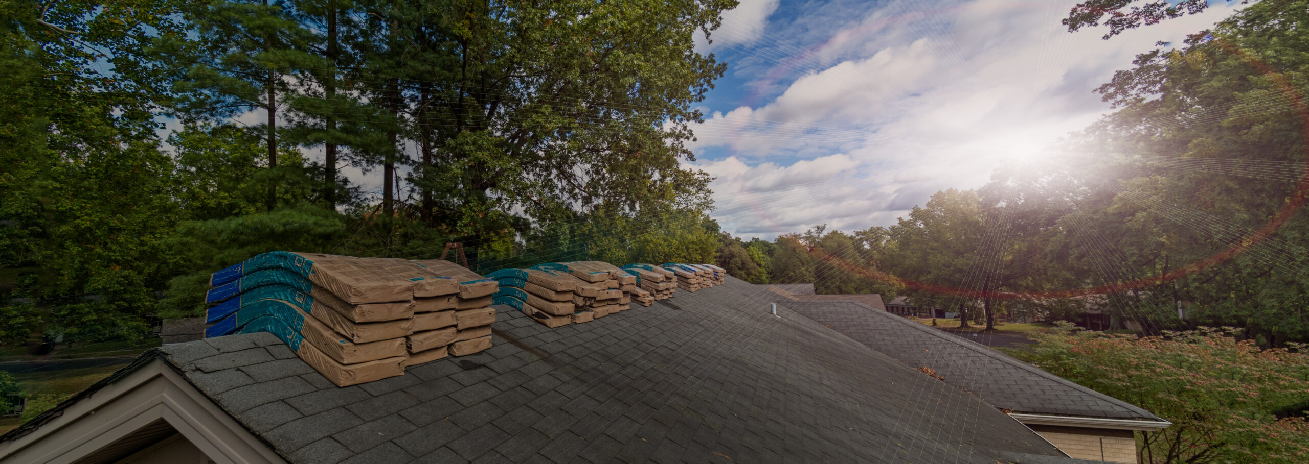 Bellevue Gutter Cleaning