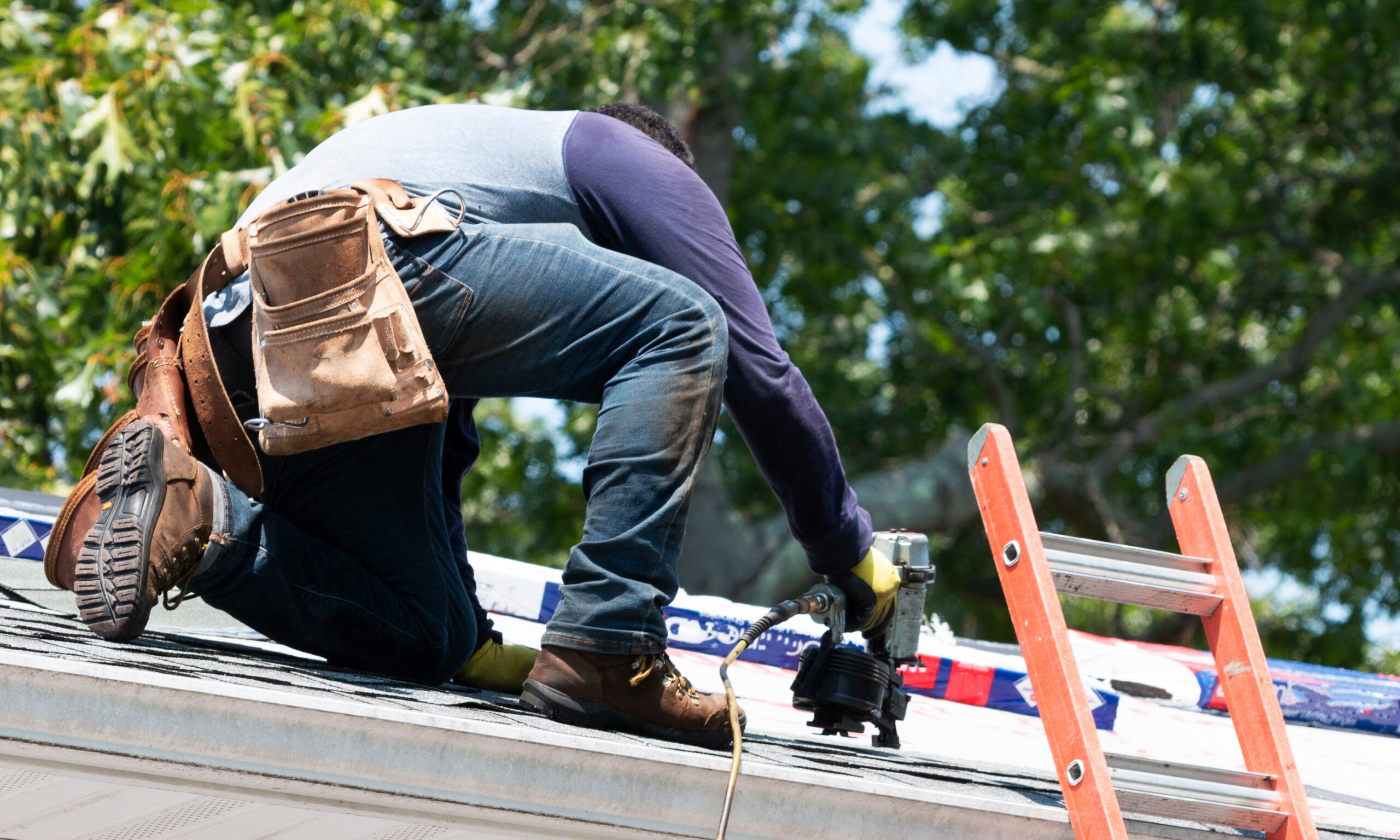 Bellevue Roof Cleaning