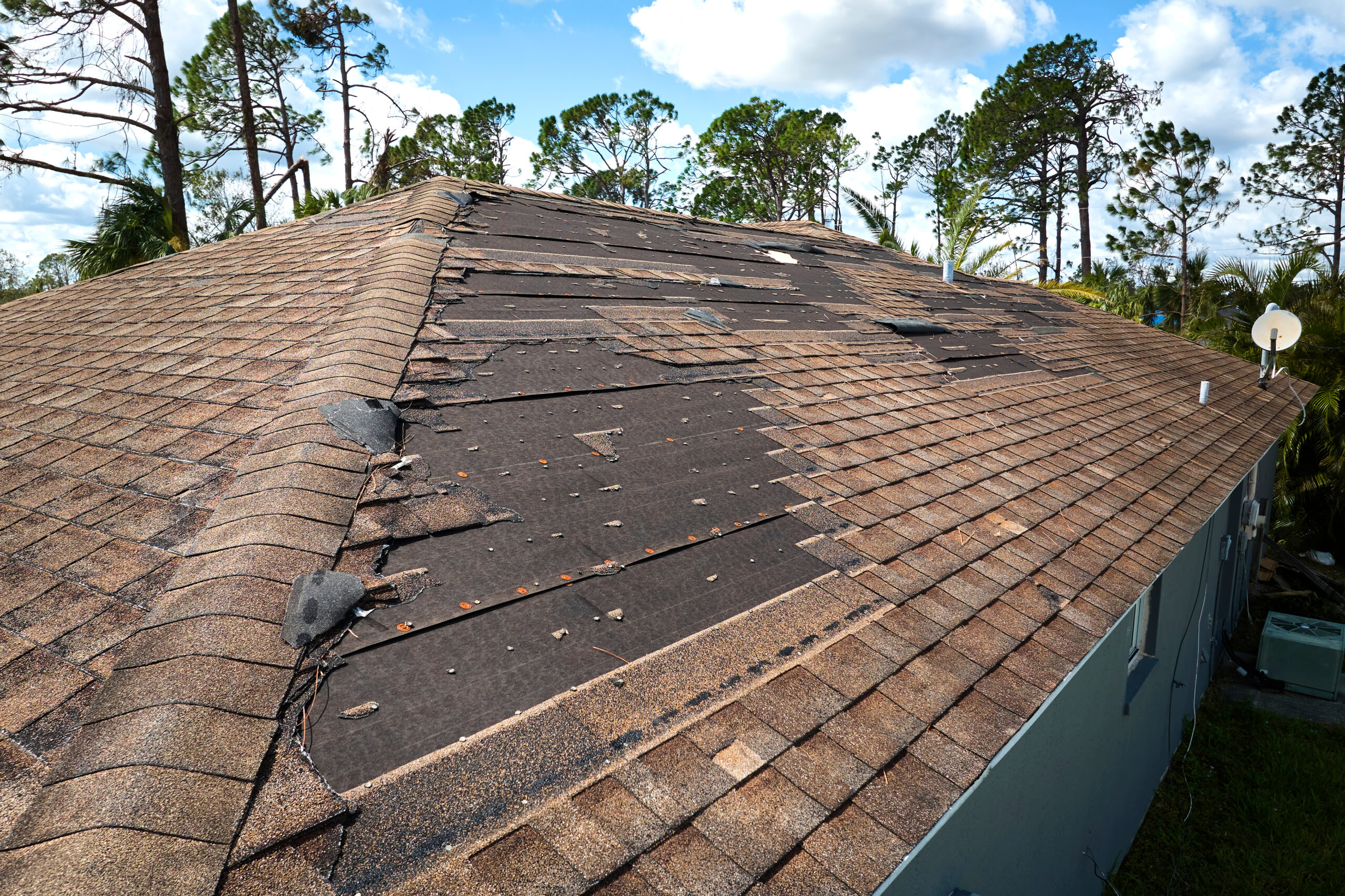 Duvall New Roof
