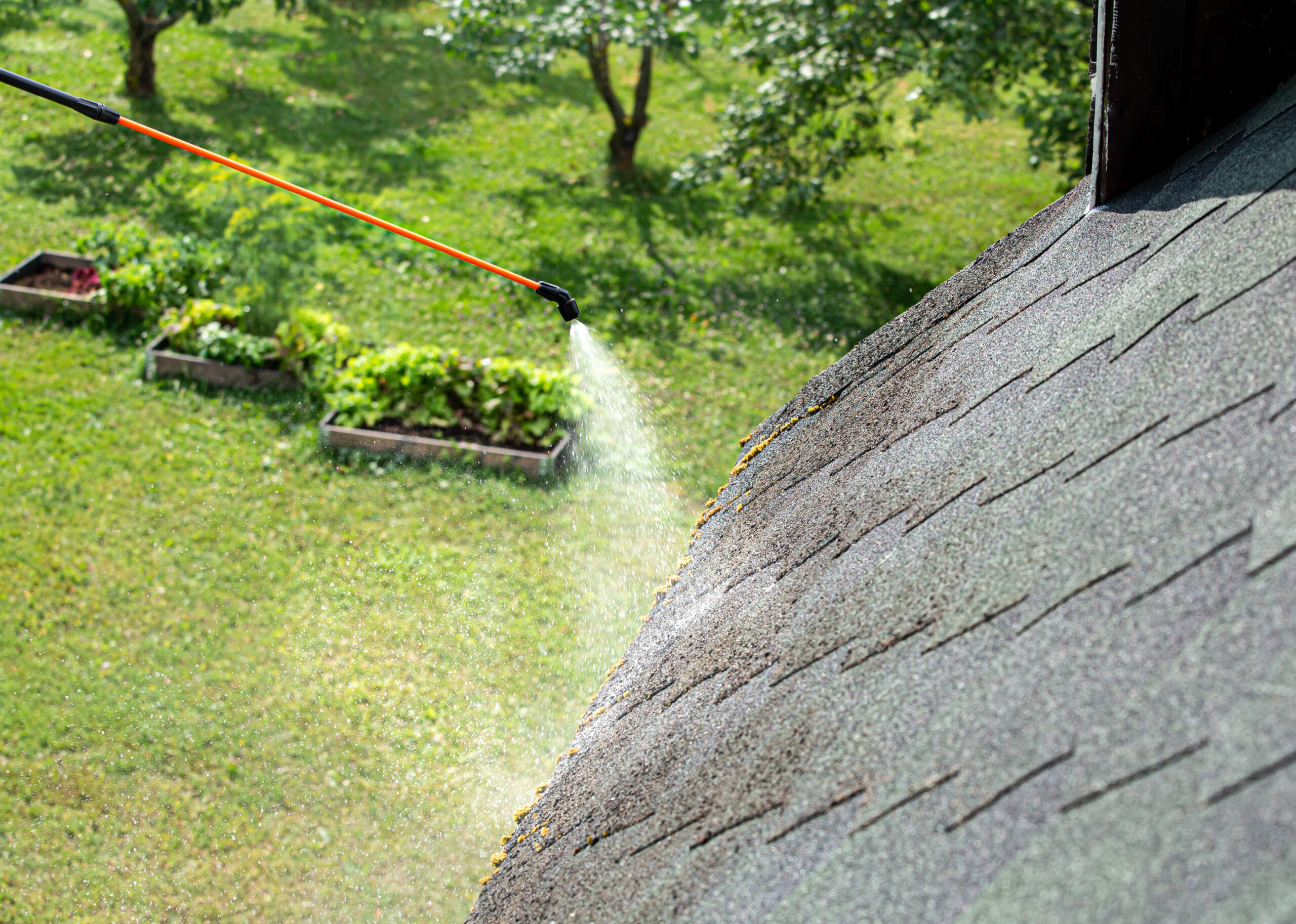 University Place Moss Removal